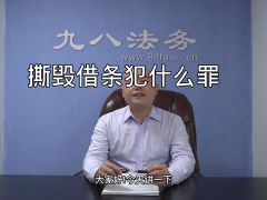 撕毁借条犯罪应该如何处罚 (0播放)
